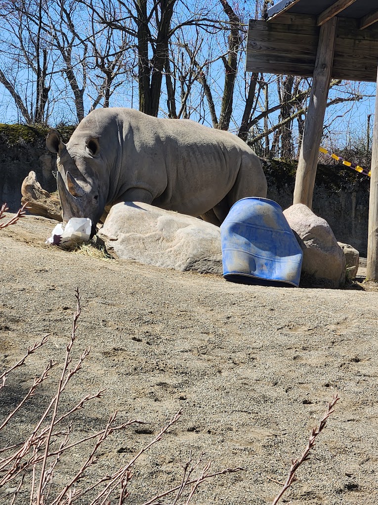 Erie Zoo Travel | Zoo and Wildlife Sanctuary 