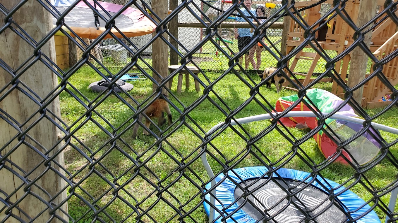 Exotic Animal Experience Travel | Zoo and Wildlife Sanctuary 