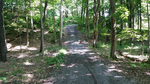 F T Proctor Park Travel | Park