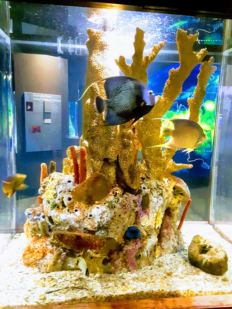 Flint RiverQuarium Travel | Park