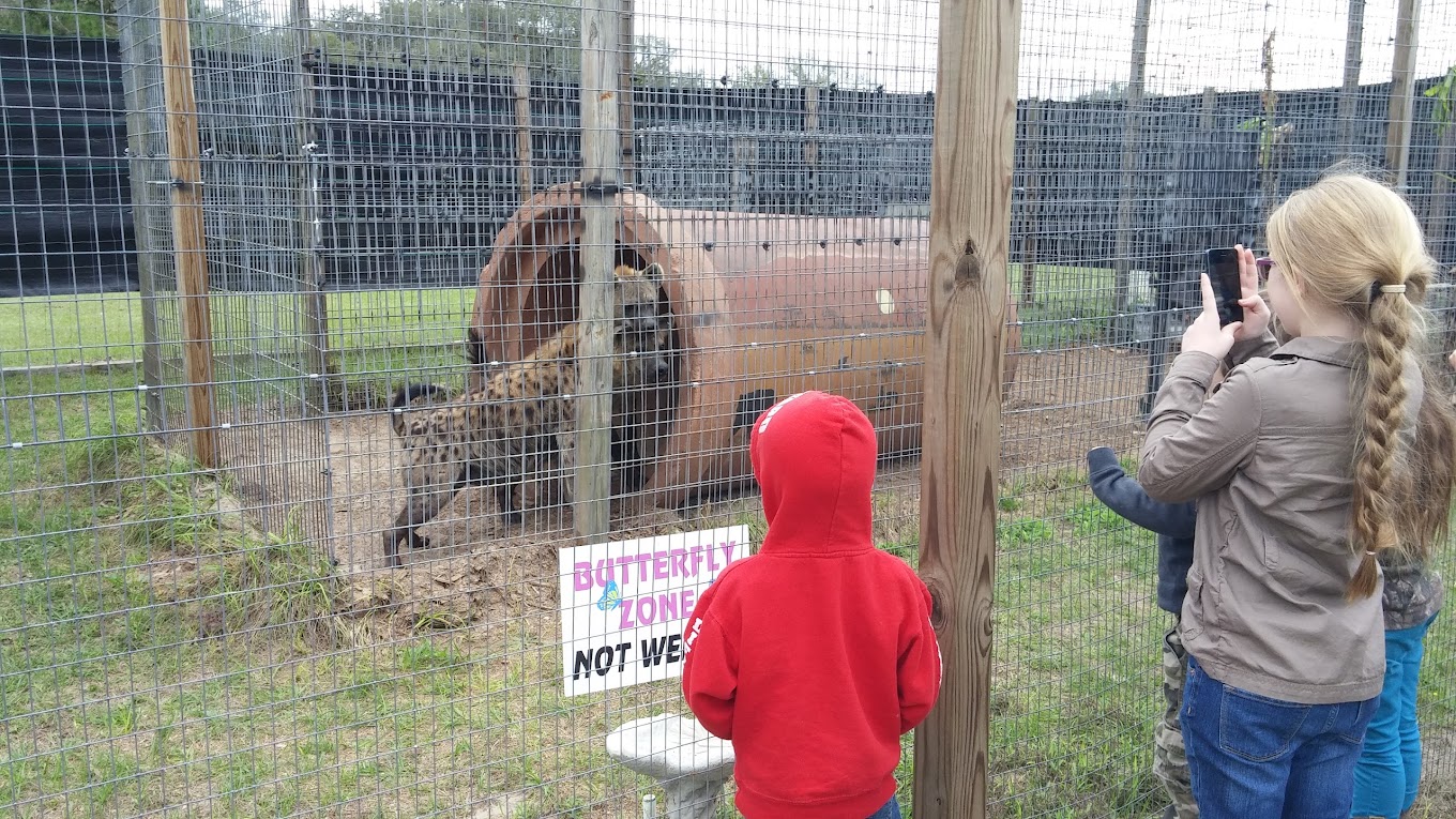 Florida International Teaching Zoo Travel | Zoo and Wildlife Sanctuary 