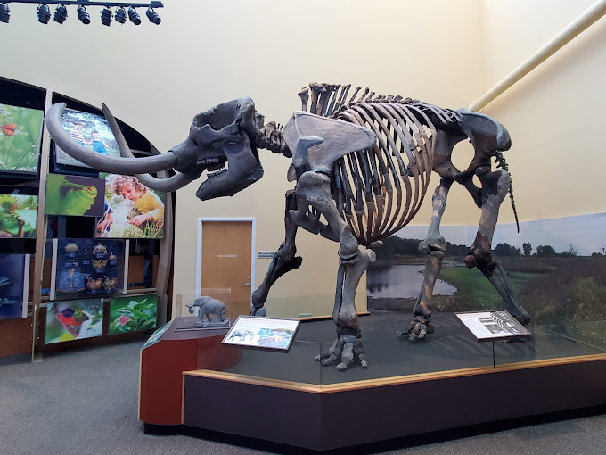 Florida Museum of Natural History Travel | Museums