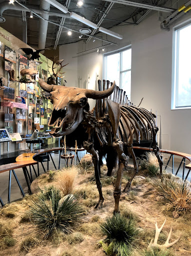 Fort Collins Museum of Discovery Travel | Museums