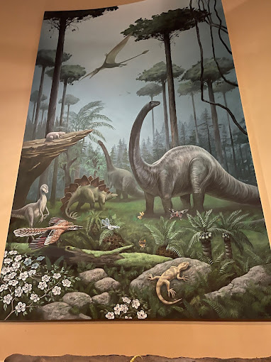 Georgia Museum of Natural History Travel | Museums