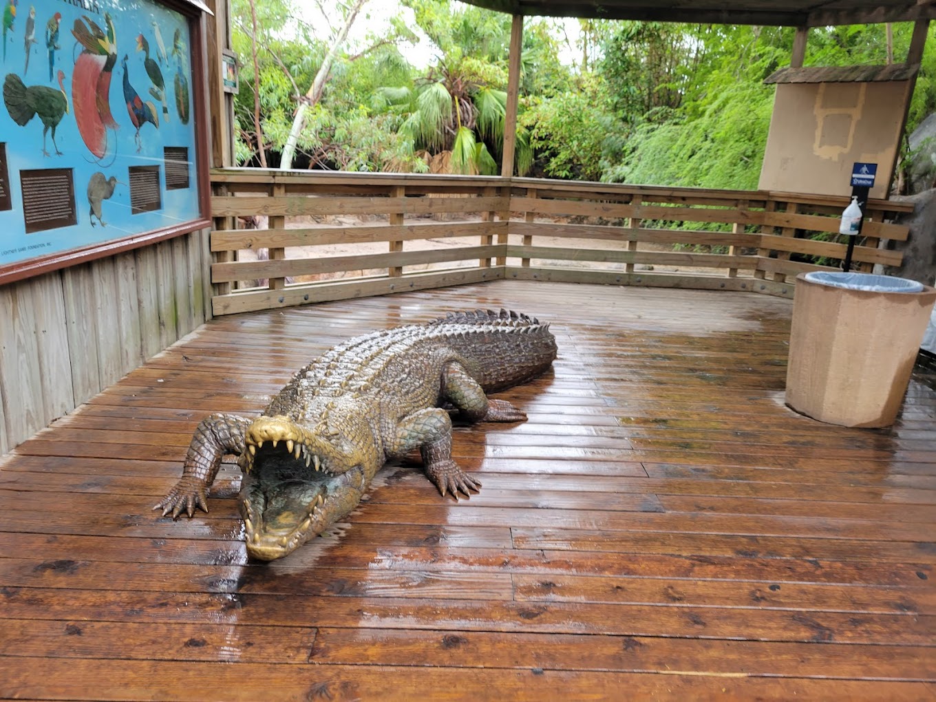 Gladys Porter Zoo Travel | Zoo and Wildlife Sanctuary 