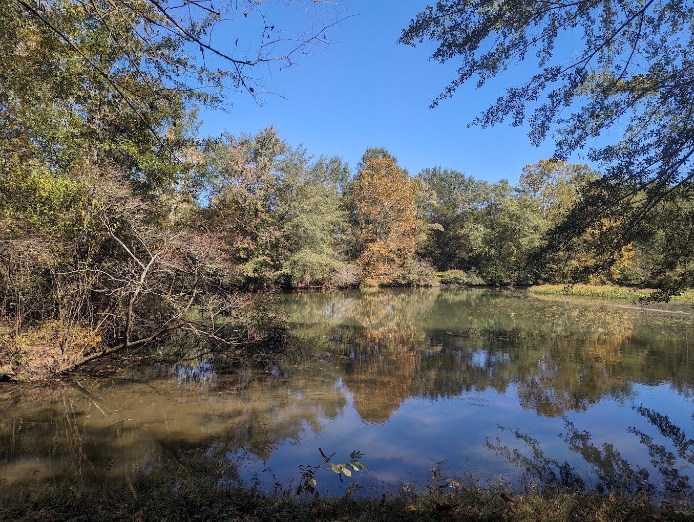 Goldsmith Schiffman Wildlife Sanctuary Travel | Zoo and Wildlife Sanctuary 