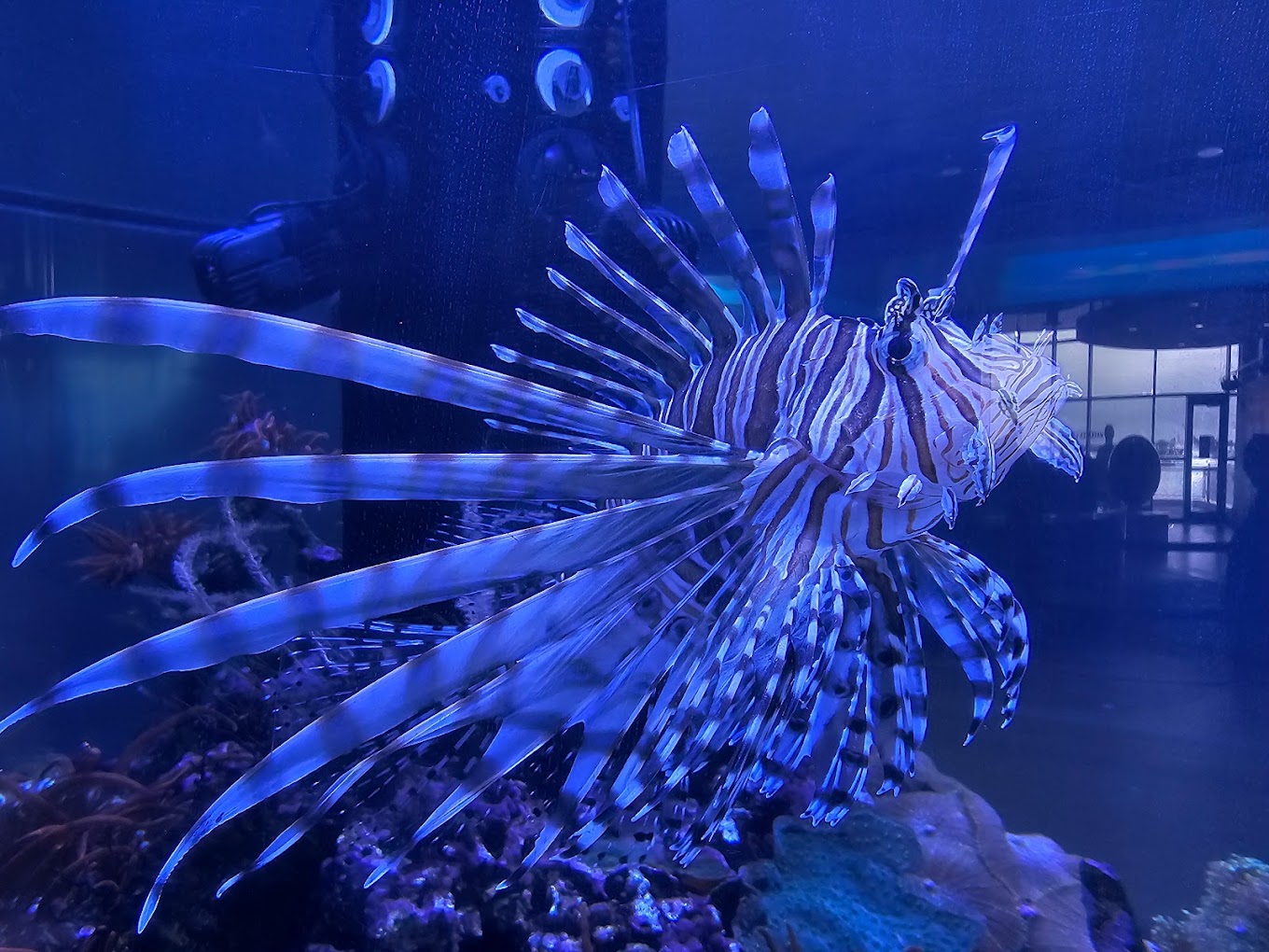 Great Lakes Aquarium Travel | Park