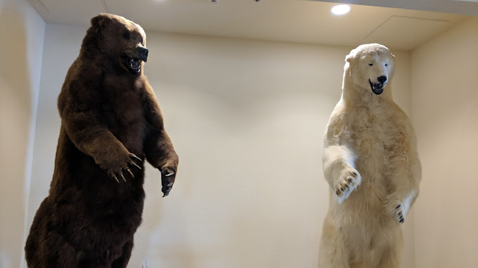Great Valley Museum of Natural History Travel | Museums