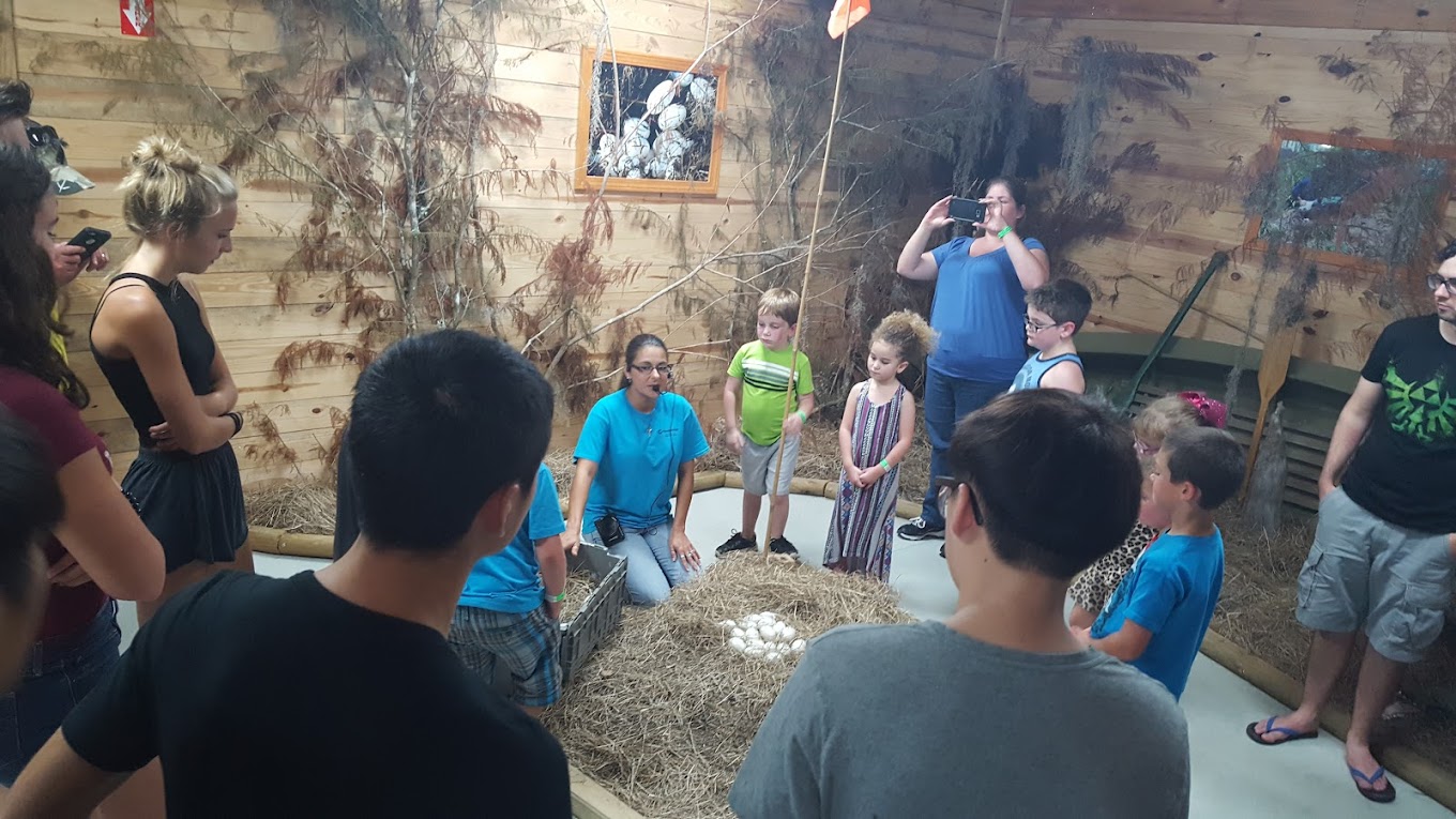 Greenwood Gator Farm & Tours Travel | Zoo and Wildlife Sanctuary 