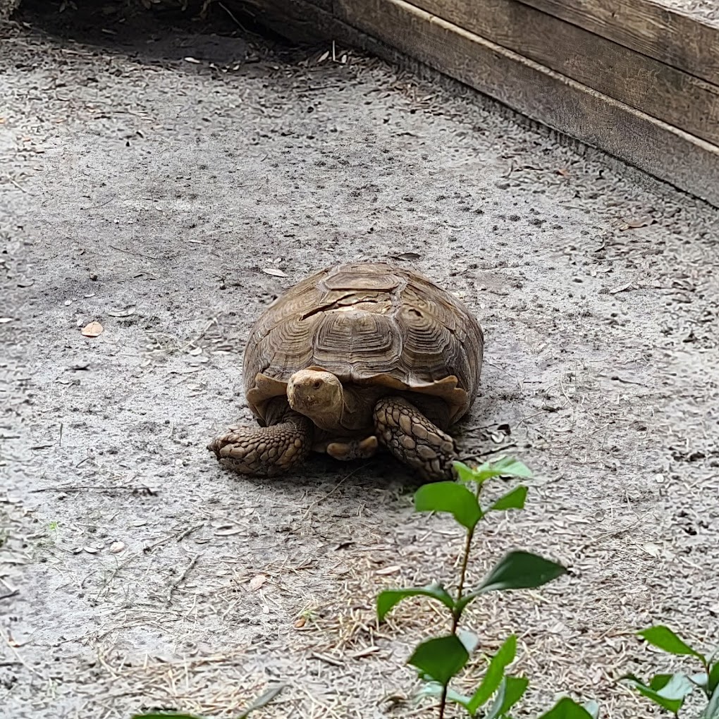 Hardee County Wildlife Refuge Travel | Zoo and Wildlife Sanctuary 