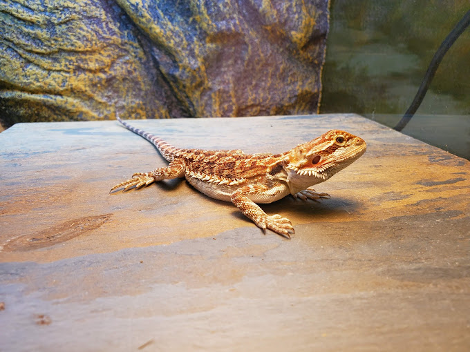 Headwaters Science Center Travel | Museums