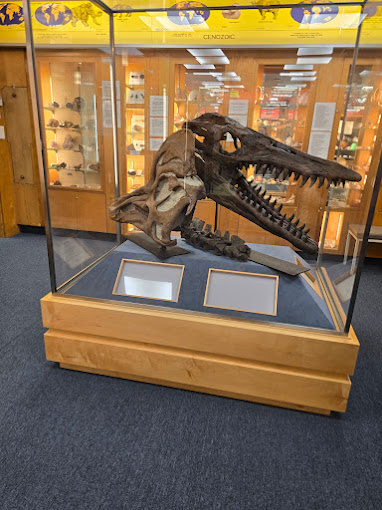 Hicksville Gregory Museum Travel | Museums