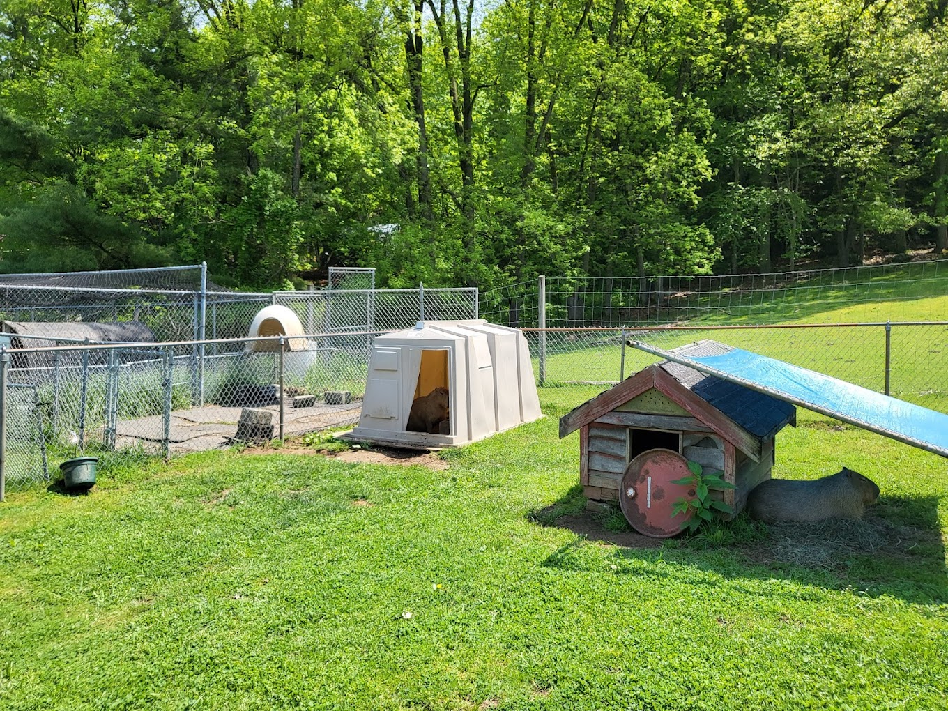 Highwire Deer & Animal Farm Travel | Zoo and Wildlife Sanctuary 