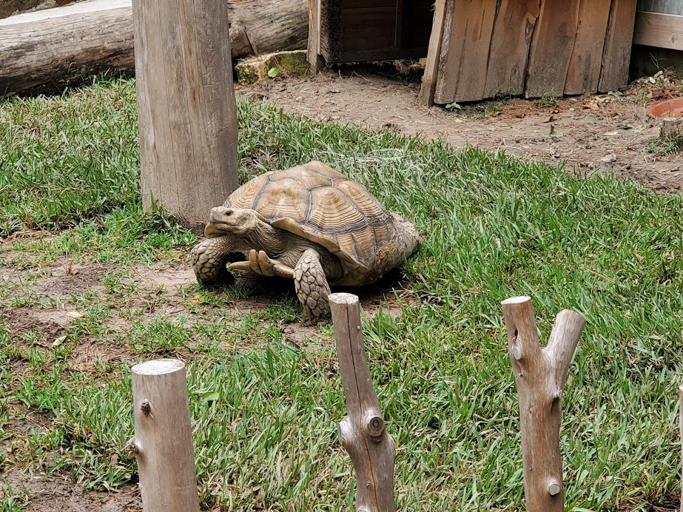 Houston Interactive Aquarium & Animal Preserve Travel | Zoo and Wildlife Sanctuary 