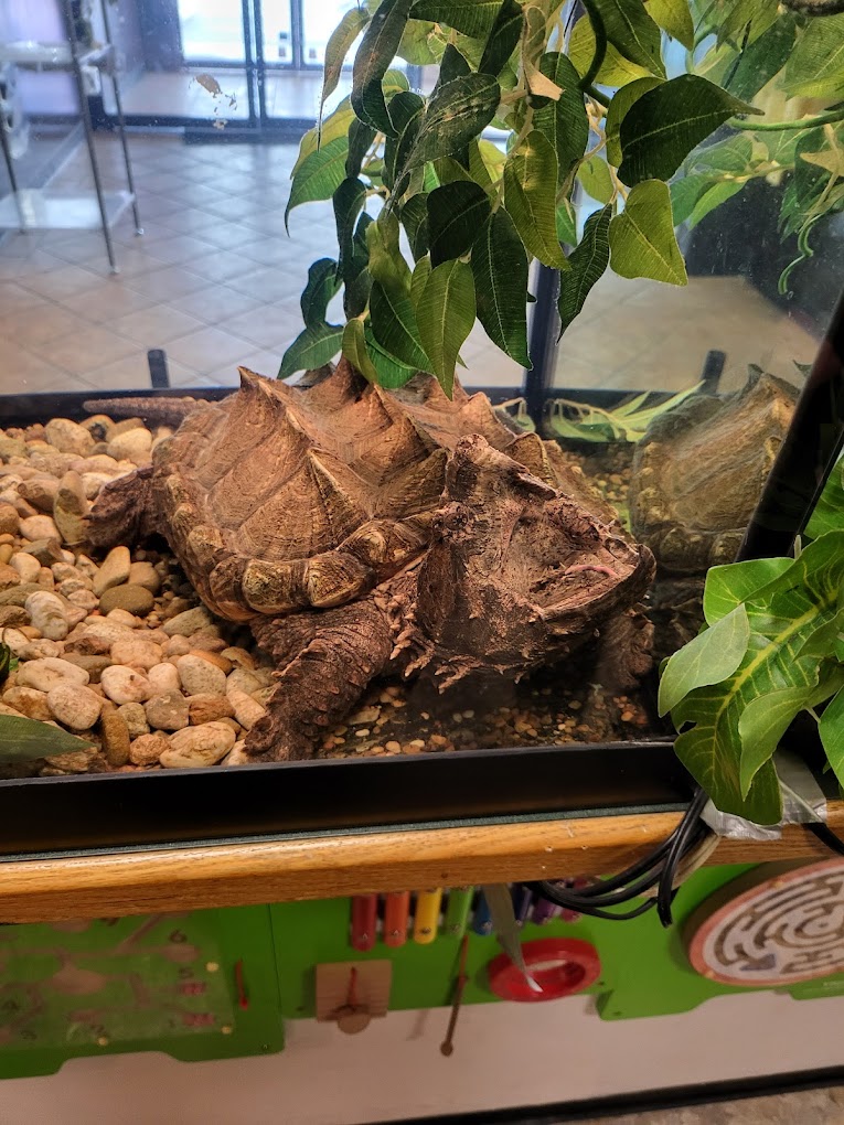 Idaho Reptile Zoo Travel | Zoo and Wildlife Sanctuary 