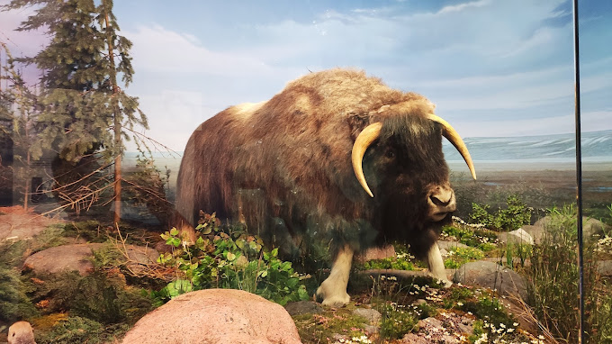 Illinois State Museum Travel | Museums