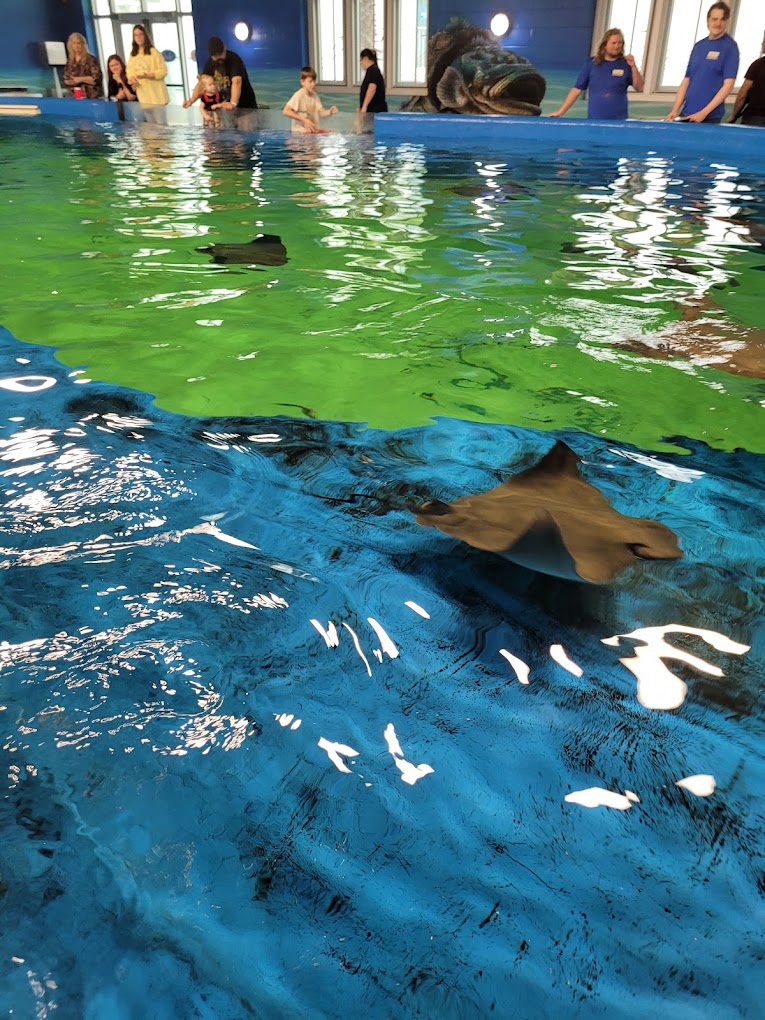 Institute for Marine Mammal Studies Travel | Park