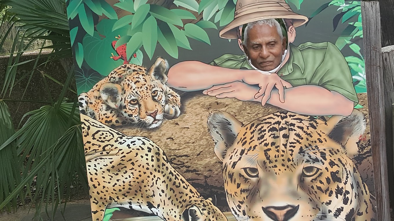 Jackson Zoo Travel | Zoo and Wildlife Sanctuary 