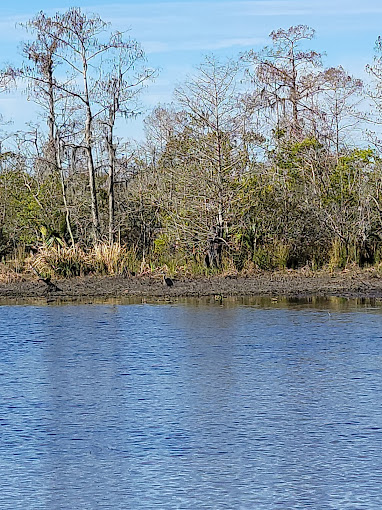 Jean Lafitte National Historical Park and Preserve Travel | Museums