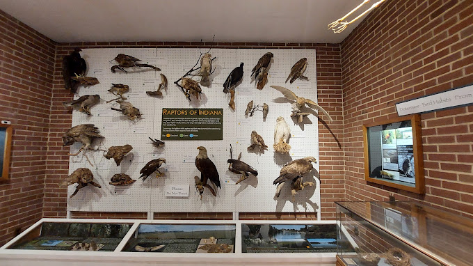 Joseph Moore Museum Travel | Museums