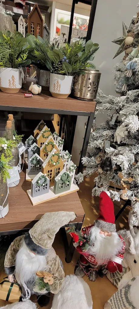 Kohls Shopping | Store