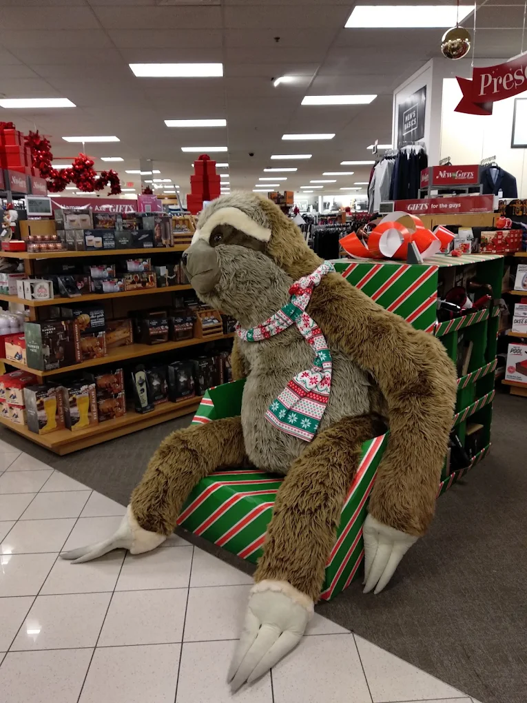 Kohls Shopping | Store