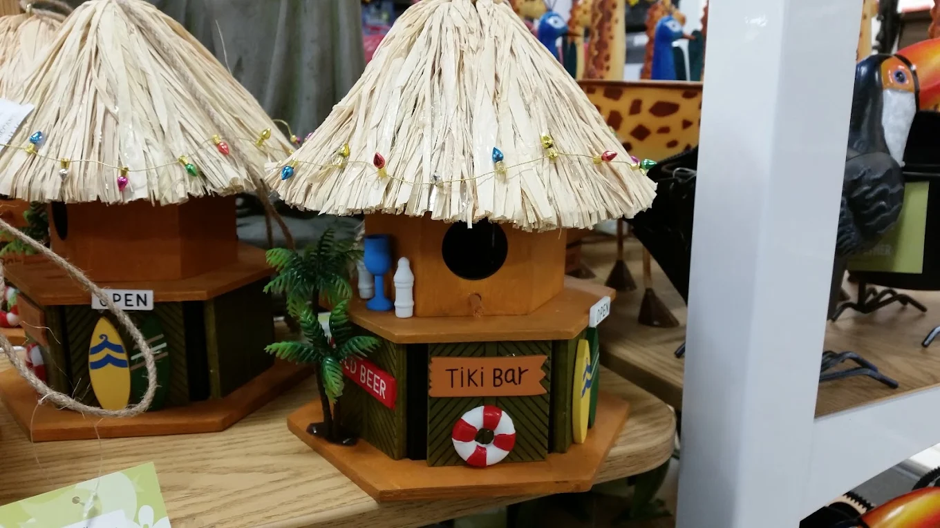 Kohls Shopping | Store