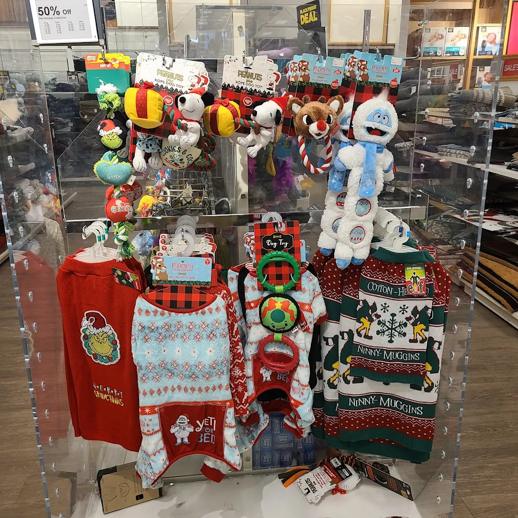 Kohls Shopping | Store