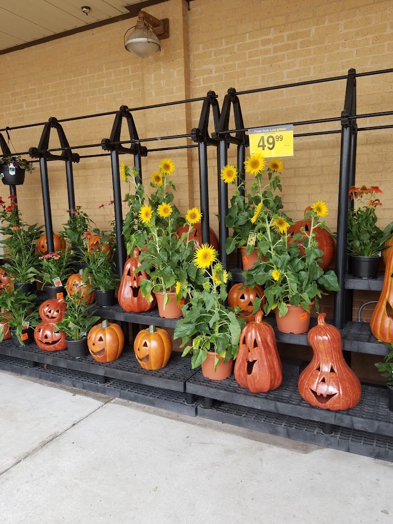 Kroger Store Shopping | Supermarket