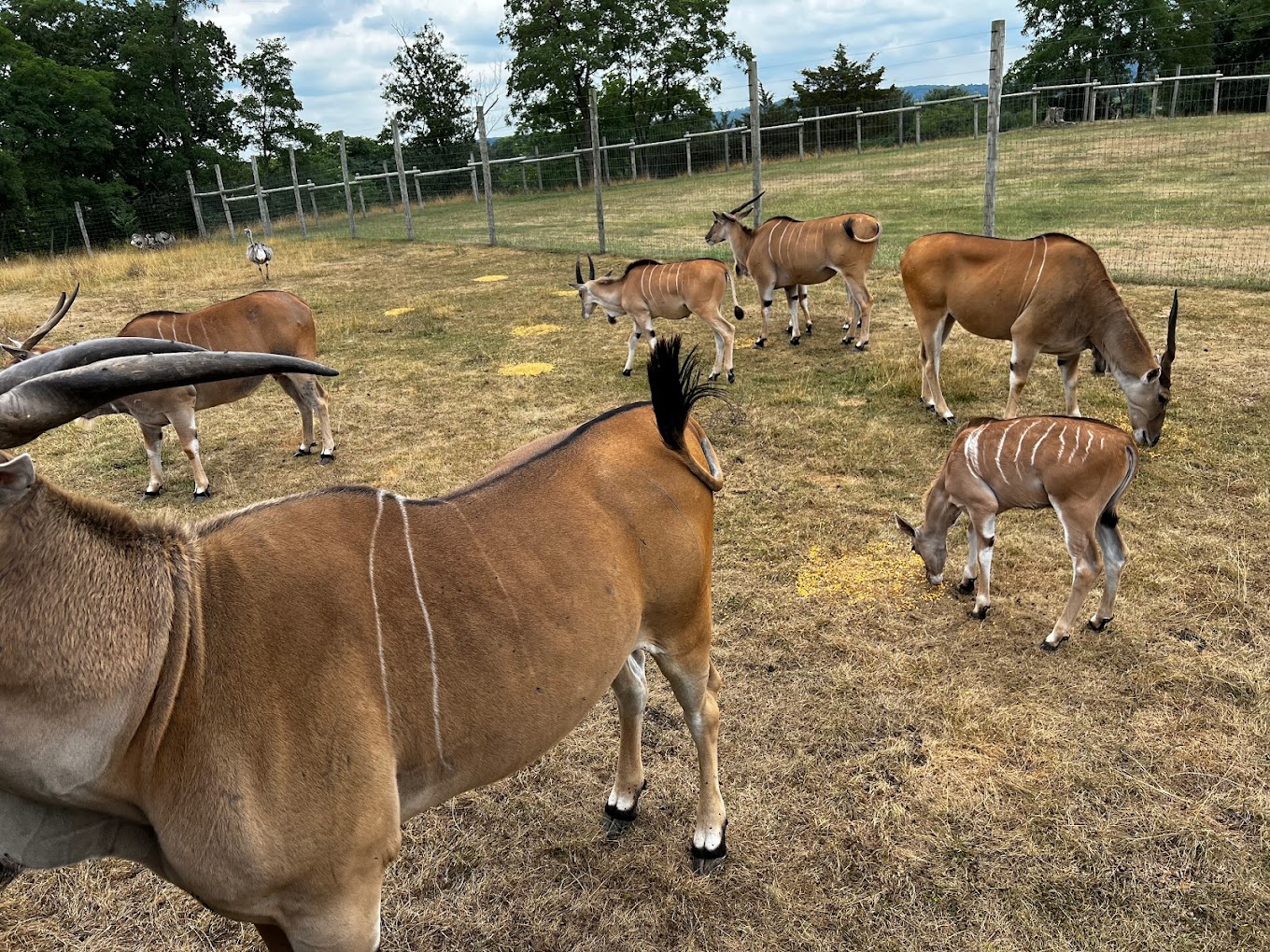 Lake Tobias Wildlife Park Travel | Zoo and Wildlife Sanctuary 