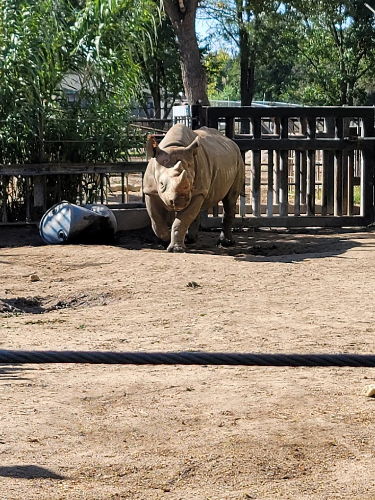 Lee Richardson Zoo Travel | Zoo and Wildlife Sanctuary 