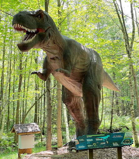 LG Expedition Park Entertainment | Theme Park