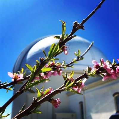 Lick Observatory - Logo