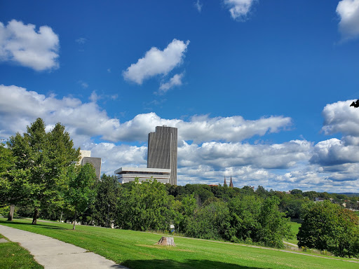Lincoln Park Travel | Park