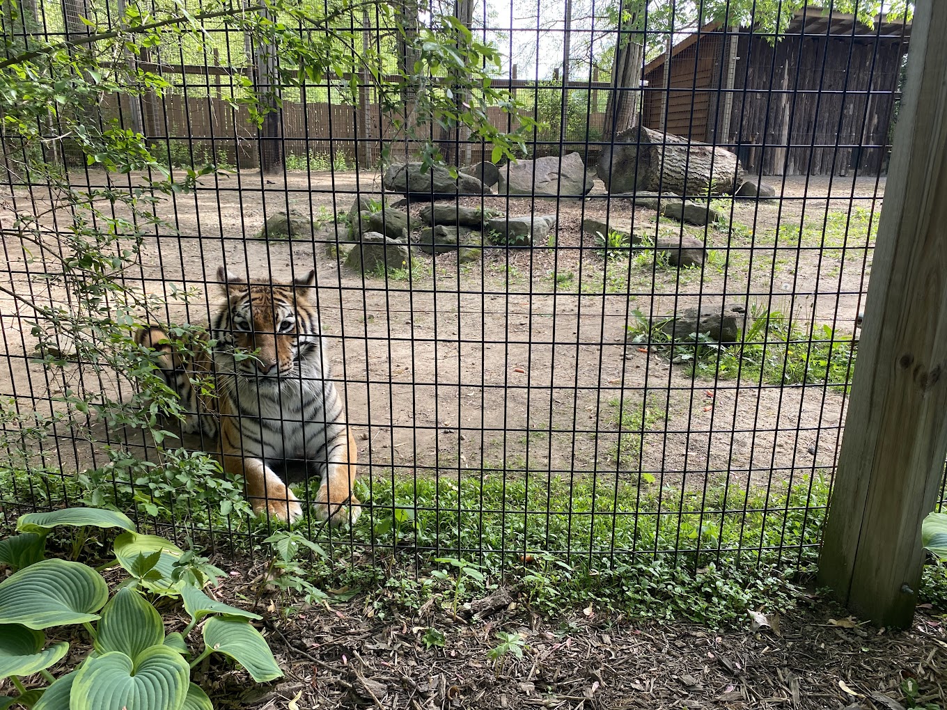 Living Treasures Wild Animal Park Travel | Zoo and Wildlife Sanctuary 