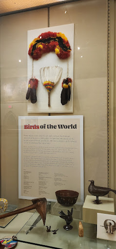 Logan Museum of Anthropology Travel | Museums