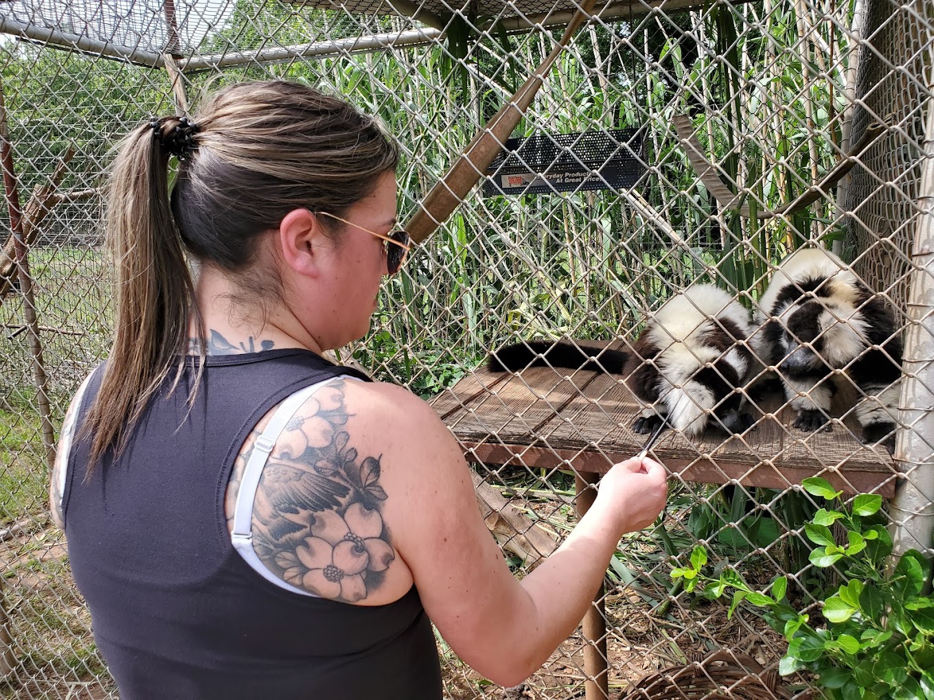 Lost Creek Safari Travel | Zoo and Wildlife Sanctuary 