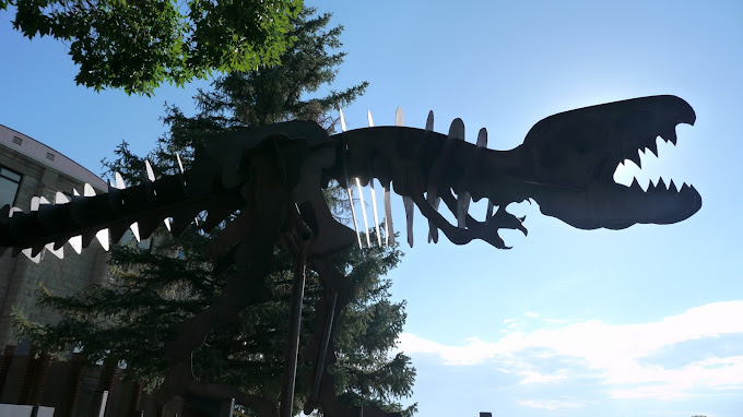 Louden-Henritze Archaeology Museum Travel | Museums