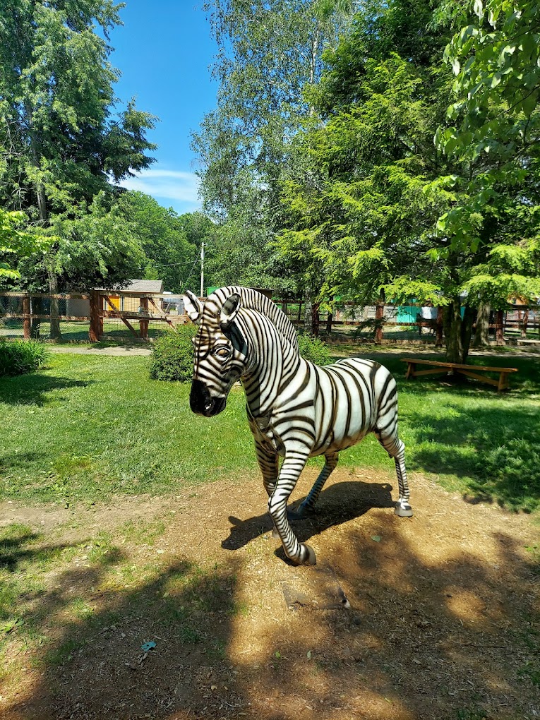Lupa Zoo Travel | Zoo and Wildlife Sanctuary 