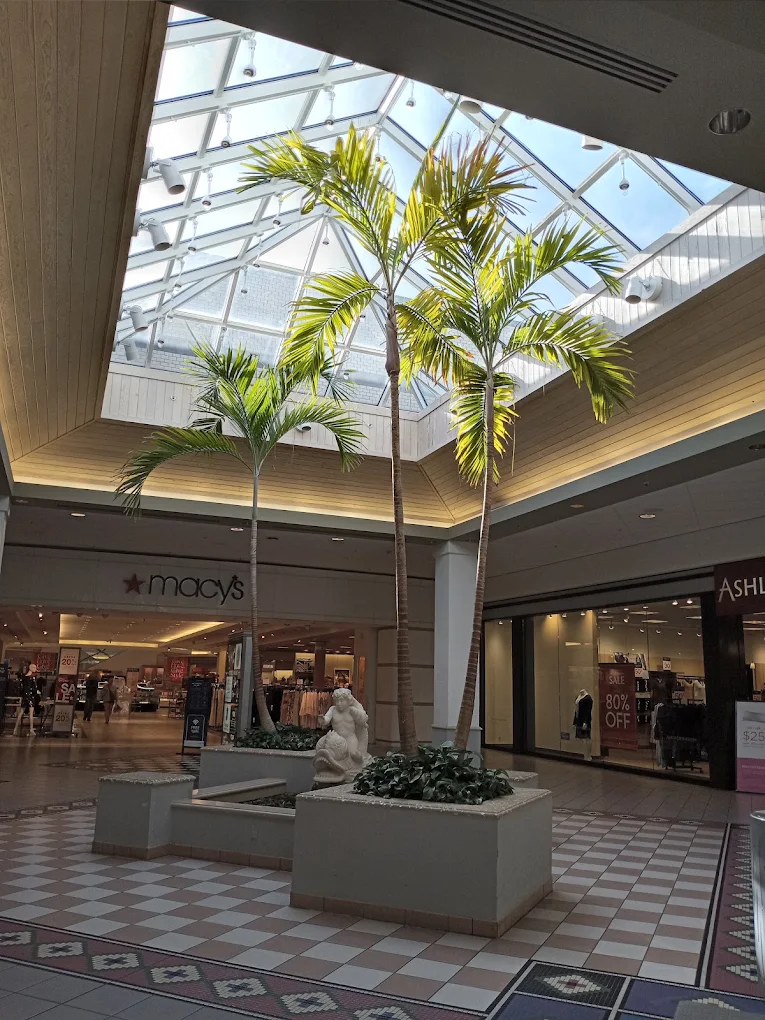 Macys Shopping | Store