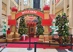 Macys Shopping | Store