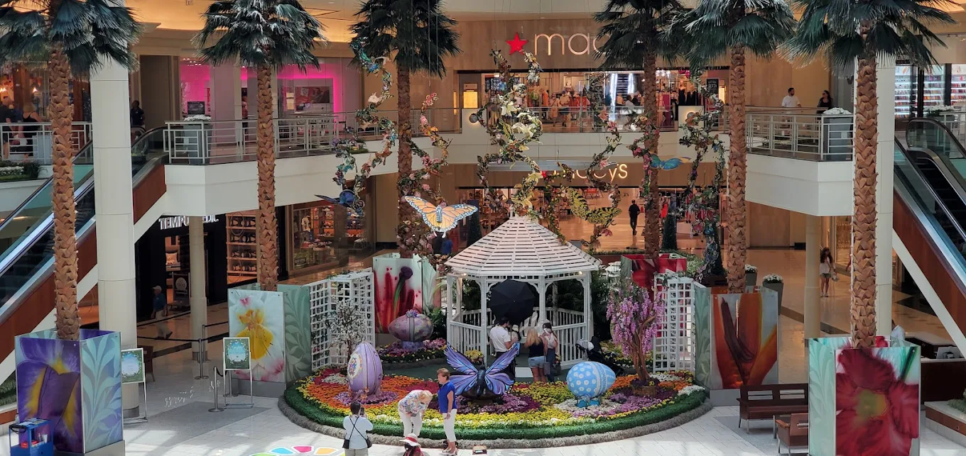 Macys Shopping | Store