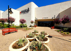 Macys Shopping | Store