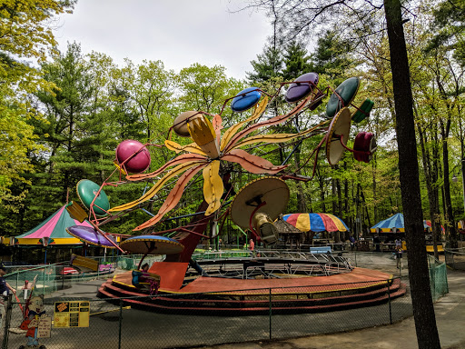 Magic Forest Entertainment | Amusement Park