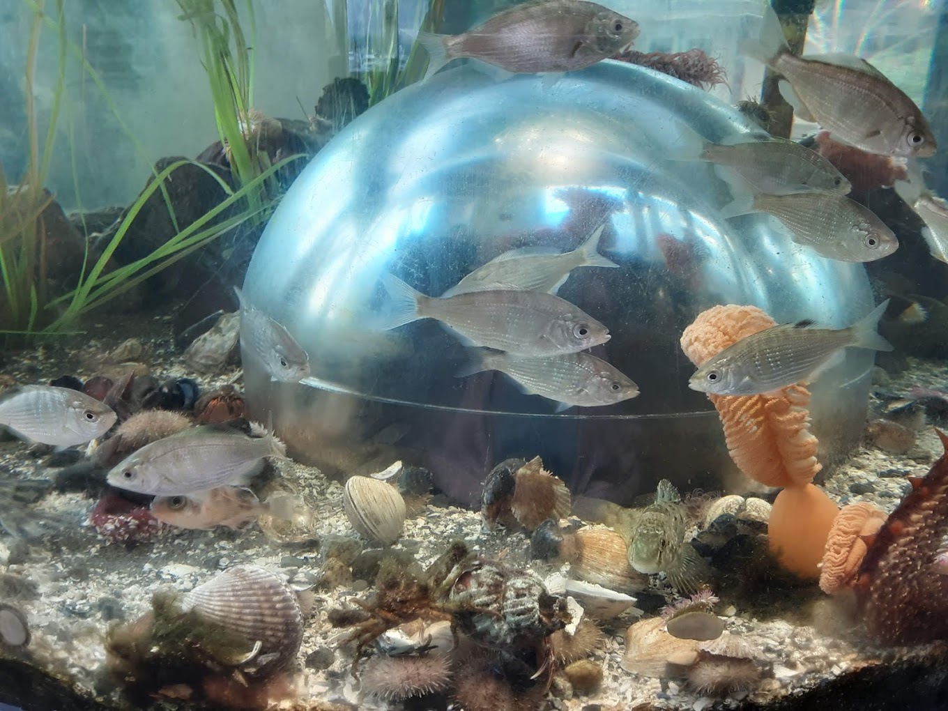 Marine Life Center Travel | Park
