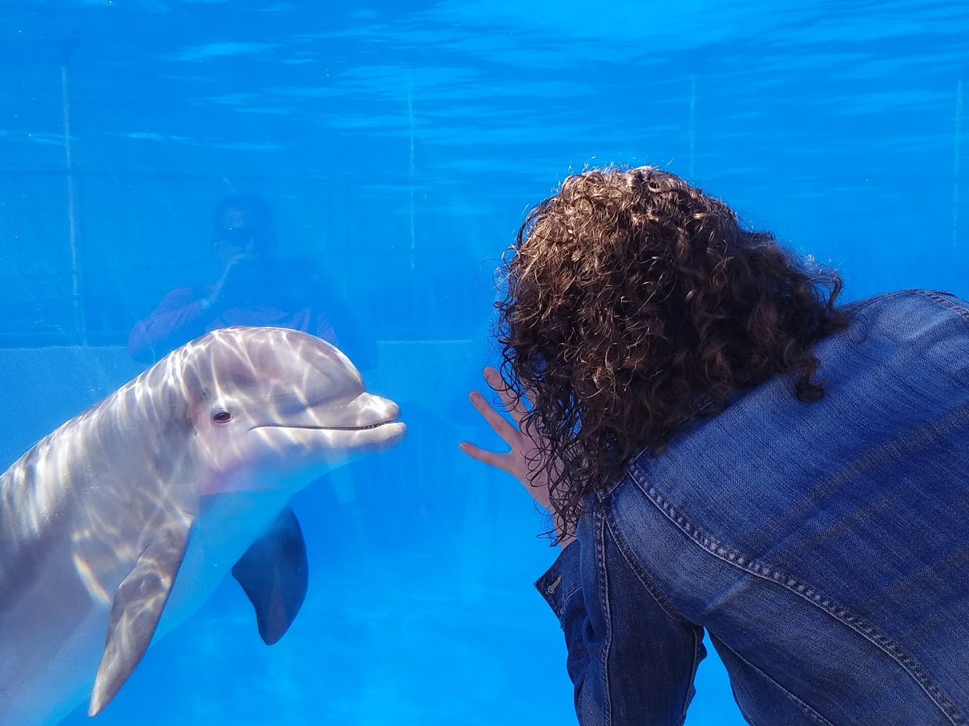 Marineland of Florida Travel | Park