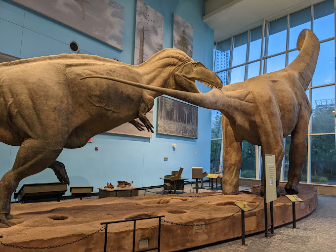 Maryland Science Center Travel | Museums