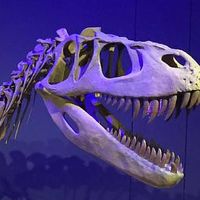 Mesalands Community College's Dinosaur Museum - Logo