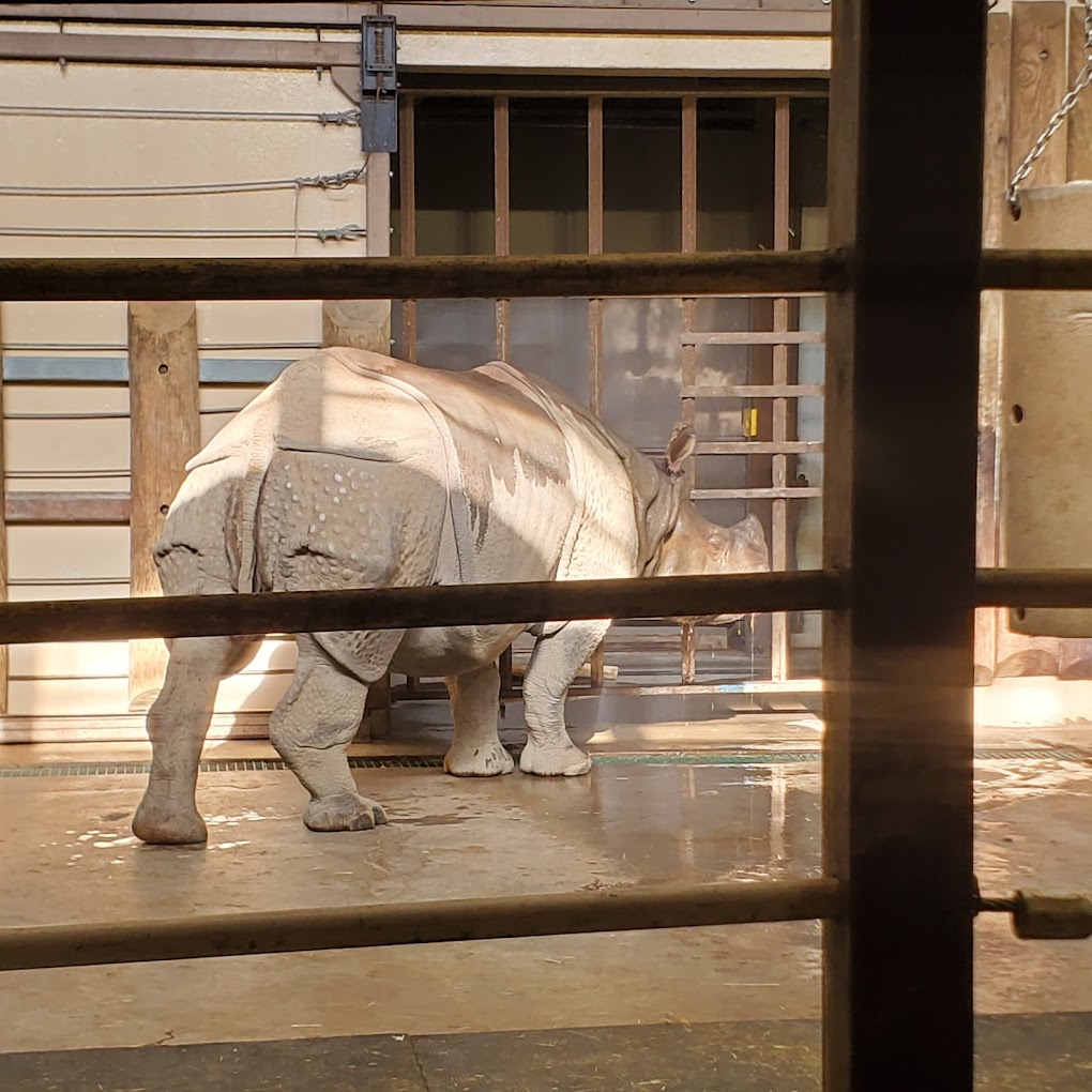 Mesker Park Zoo Travel | Zoo and Wildlife Sanctuary 