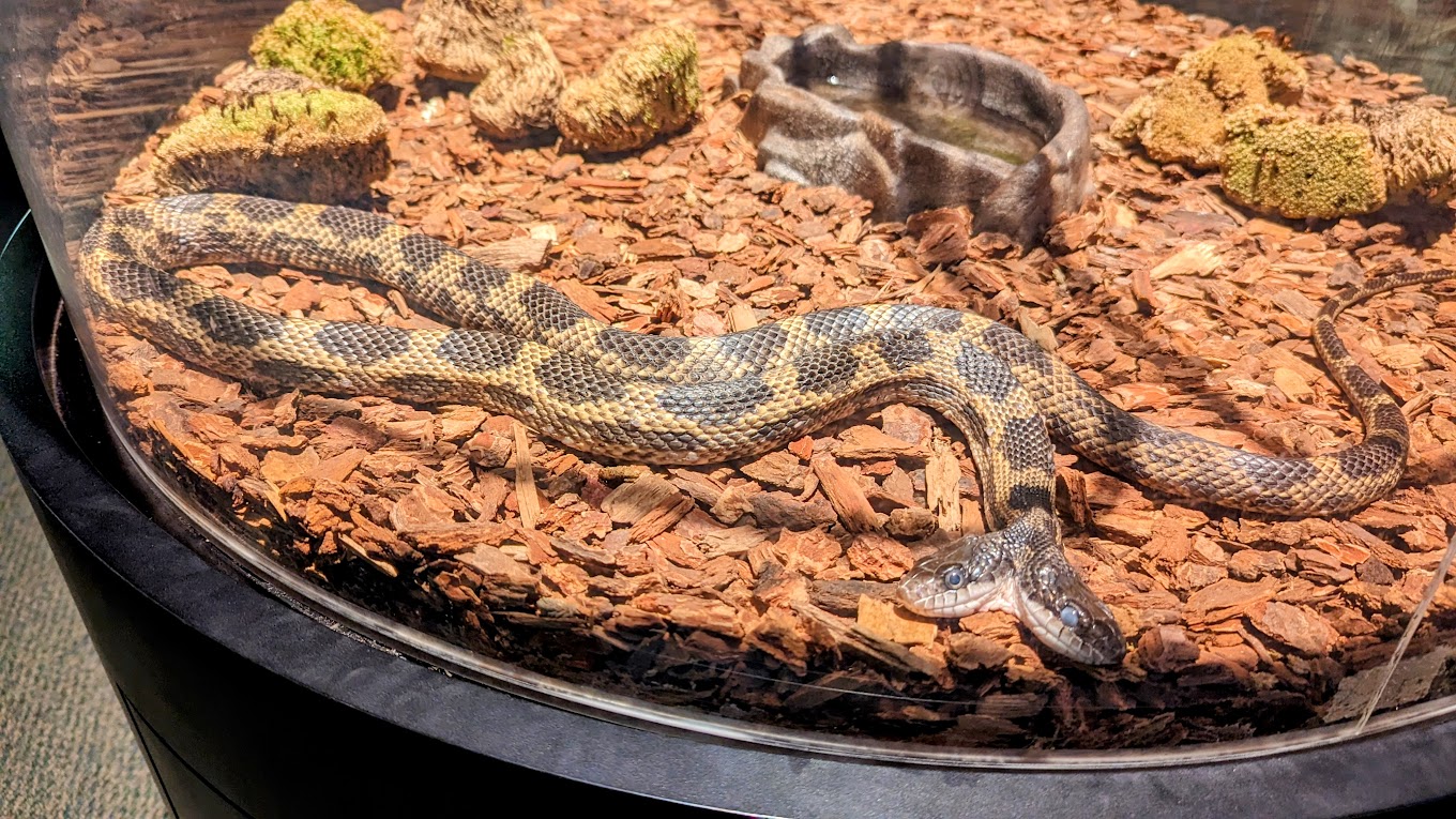 Mississippi Museum of Natural Science Travel | Zoo and Wildlife Sanctuary 